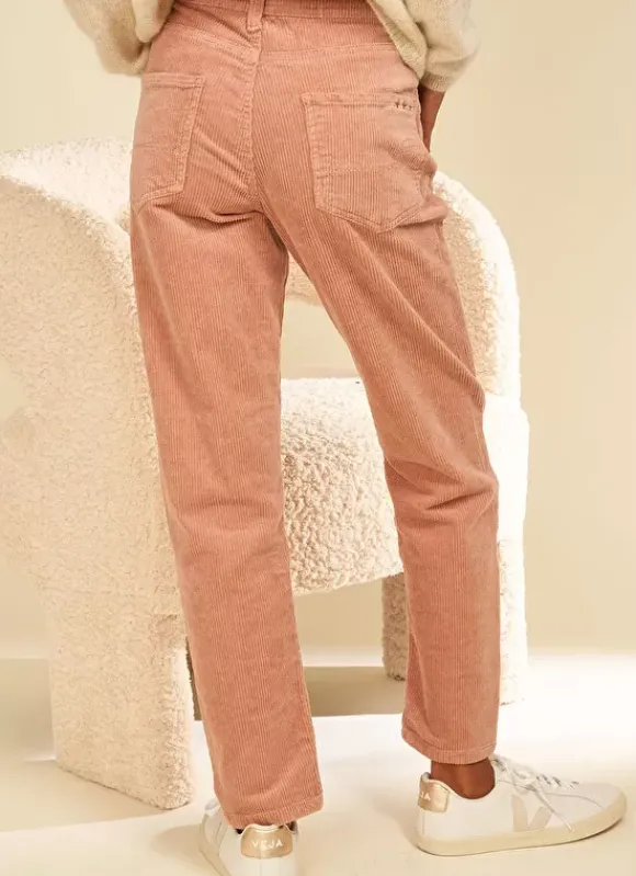 Pantalon Boyfriend Velours Bois De Rose Pavlina Sud Express