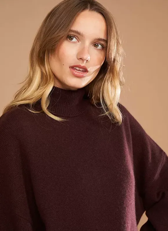 Pull Col Montant, 100% Cachemire Marron Monpran Sud Express