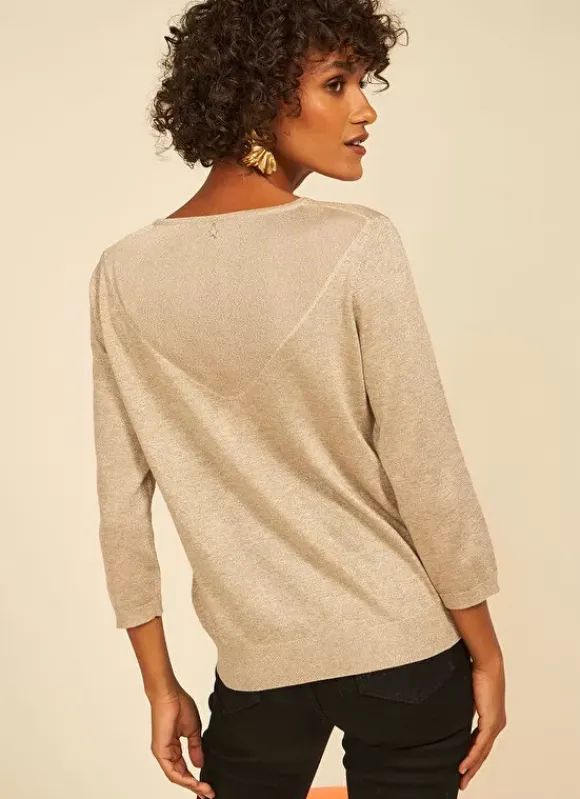 Pull Details Transparents Champagne Mory Sud Express