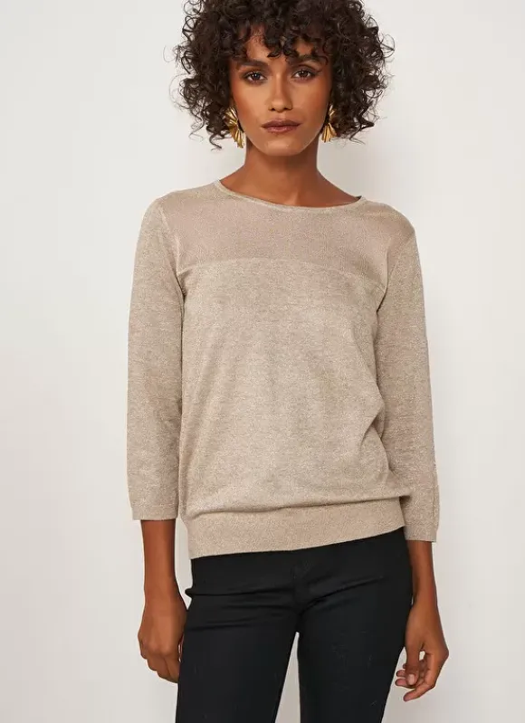 Pull Details Transparents Champagne Mory Sud Express